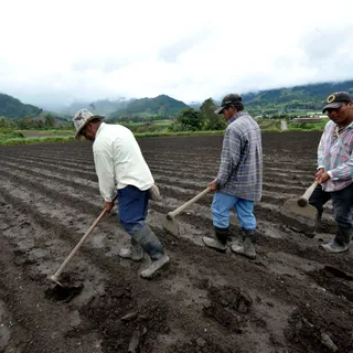 Informal, rural and outdoor workers are among the most at risk of income loss.