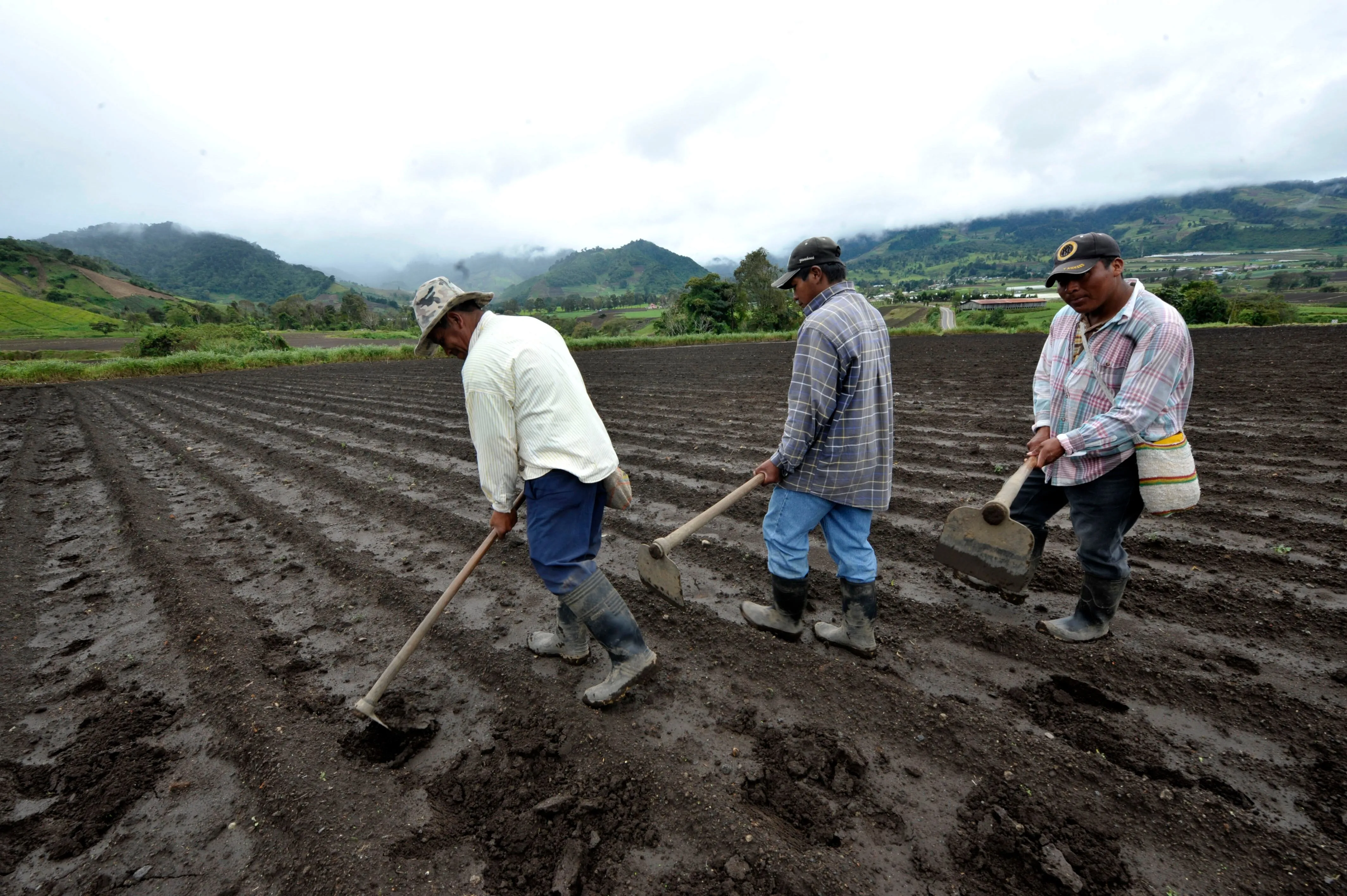 Informal, rural and outdoor workers are among the most at risk of income loss.